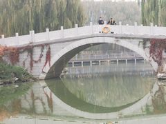 -大兴滨河森林公园