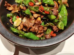 -大鸭梨烤鸭(顺义石园店)