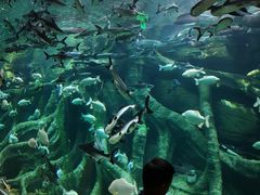 -波塞冬旅游度假区