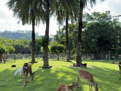 -东南花都花博园