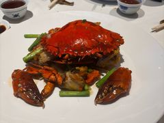 -侨美食家·40年地道粤菜(珠江新城店)