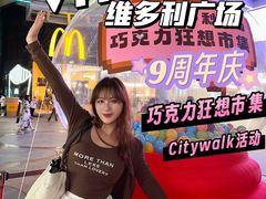 -VT101维多利广场