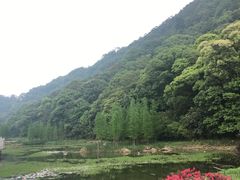 -广州市石门国家森林公园