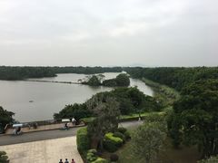 -大湾区中央湿地公园