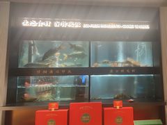 -阿五黄河大鲤鱼(英协路店)