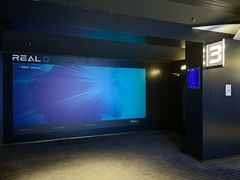 -奥斯卡升龙国际影城(RealD Cinema)