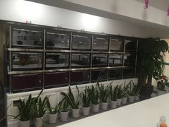 -迪莉娅(欧亚卖场店)