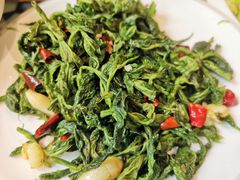 拍蒜桑树尖-撒拉花儿·新疆菜·清真(太阳宫店)