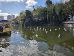 -翠湖公园