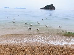 -棒棰岛宾馆景区