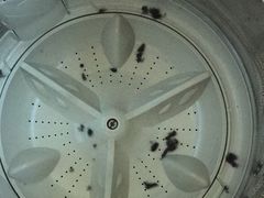 -UNIQLO(朗豪坊店)