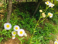 -新派川菜馆(济南路店)