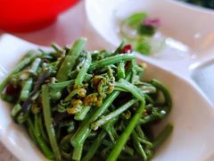 山野蕨菜-伊祥·敦煌楼