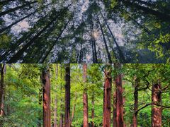 -沉浸北京·团建旅行·密室剧本杀·年会会议轰趴拓展