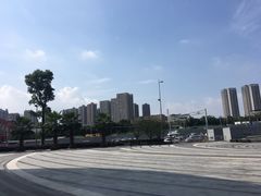 -棕榈MALL