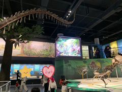 -国家自然博物馆