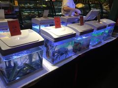 -花家怡园(四合院总店)