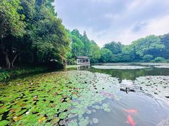 -杭州植物园