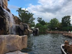 -美的鹭湖探索王国