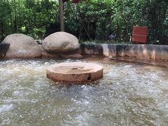 -西安国际创新人才交流中心•药浴温泉