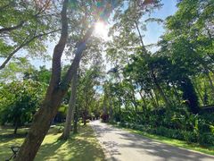-中国科学院西双版纳热带植物园