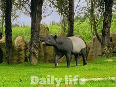 -北京野生动物园