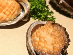 熟醉鲍鱼渔-三杯赤運·中式小酒馆(所城里店)