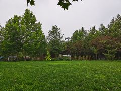 -第五季龙水凤港生态露营农场