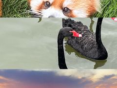 -无锡动物园·太湖欢乐园
