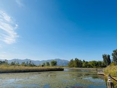 -野鸭湖国家湿地公园