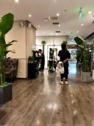 -崇尚GAVIN STYLE臻选