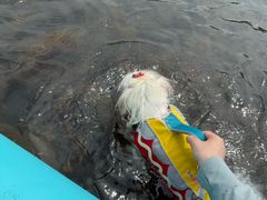 -楠溪江风景名胜区