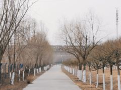 -永定河休闲森林公园