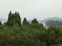 -全乐鱼馆·淳牌有机鱼直营店