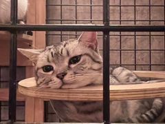 -海上歌友KTV(南桥店)