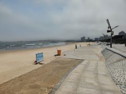 -大麦微针植发全国连锁