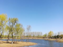 -东郊湿地公园