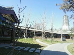 景点-舍利塔滩地公园-无垢净光舍利塔
