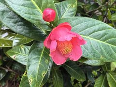 -广州神农草堂中医药博物馆
