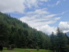 -硗碛藏寨·神木垒景区