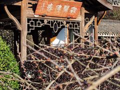 -杭州植物园