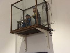 -奎元馆(星光城店)
