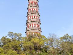 -顺峰山公园
