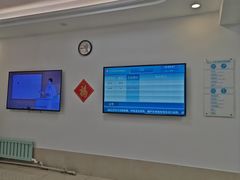 -北京观赏动物医院·24小时大型综合·猫专科·异宠专科