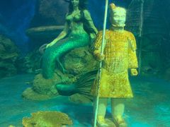 -太奥幻太奇海洋馆