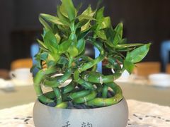 -嘉麟楼