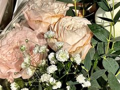 -循礼门鲜花花市(武汉循礼门店)