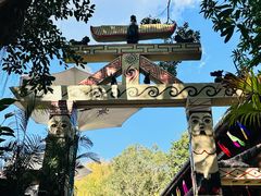 -西双版纳原始森林公园