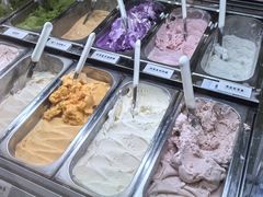 -鹤茶野所(上海首店)