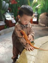 -酷嗒动物文化乐园(cutezoo西溪乐天城店)